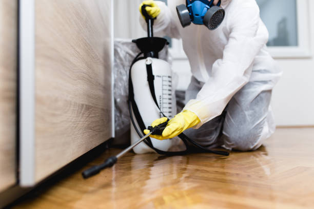Best Best Pest Control Companies  in Whitehouse, OH