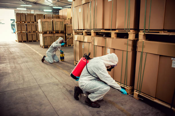 Best Pest Prevention Services  in Whitehouse, OH