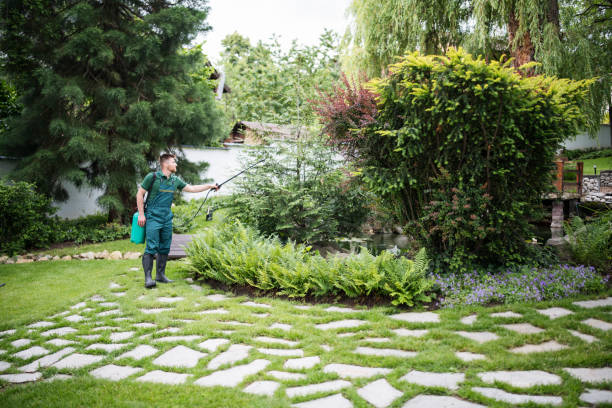 Pest Control Cost in Whitehouse, OH