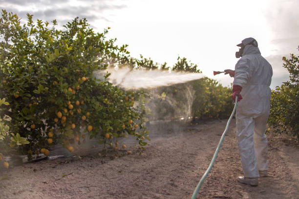 Pest Control for Restaurants in Whitehouse, OH