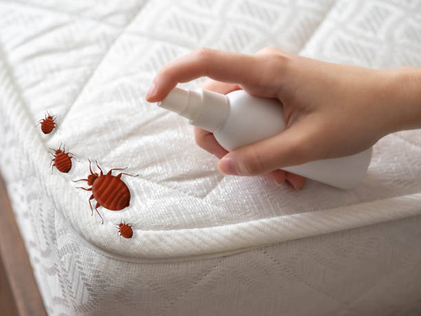 Best Pest Control Near Me in Whitehouse, OH