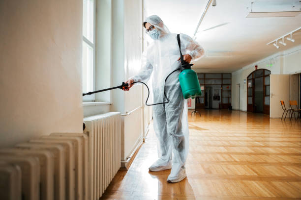 Best Flea Control Services  in Whitehouse, OH